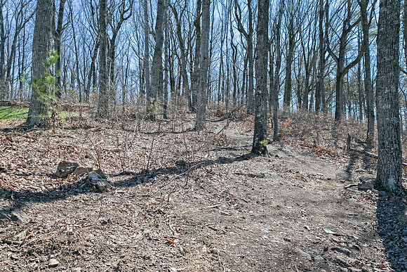 Nature Trail-3