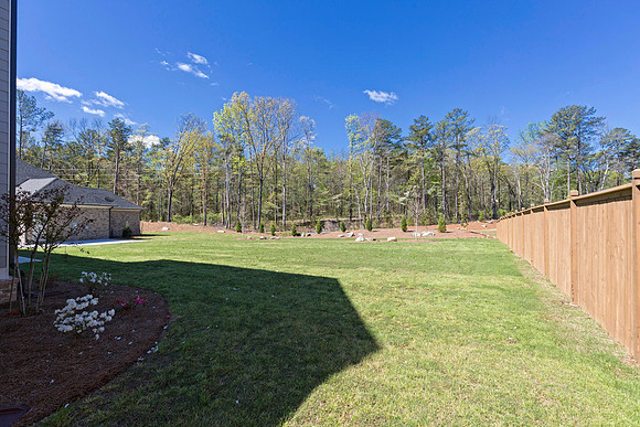 Back Yard-1