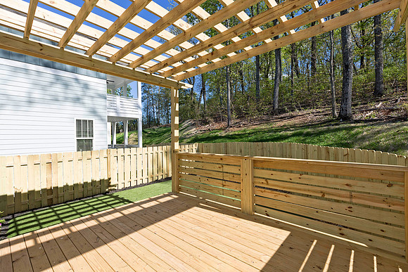 Back Yard-1