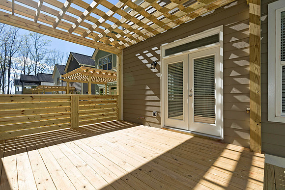 Back Yard-2