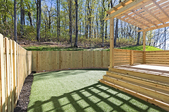 Back Yard-3