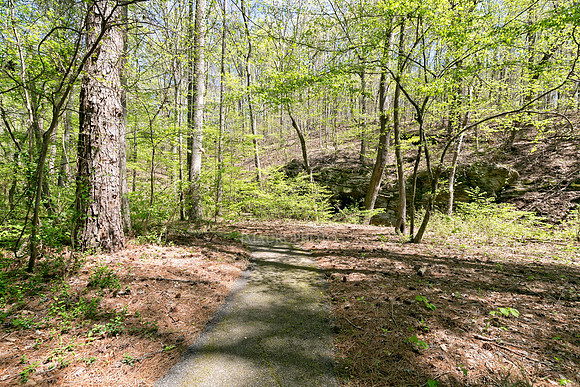 Nature Trail-1