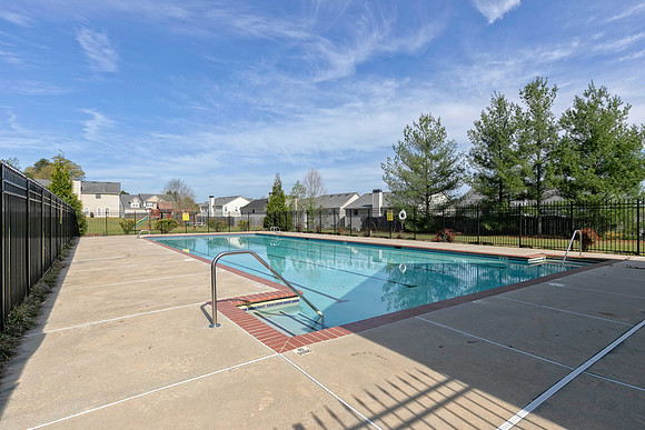 Swimming Pool-2