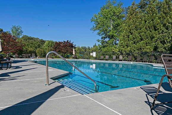 Swimming Pool-1