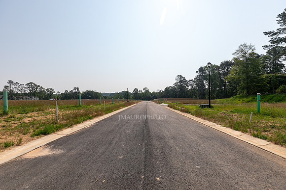 Carlton Crossing-26