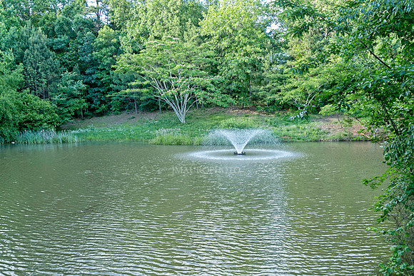 Pond-1