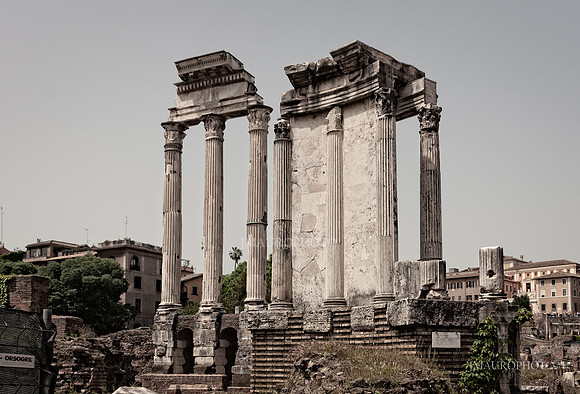 Roman Forum