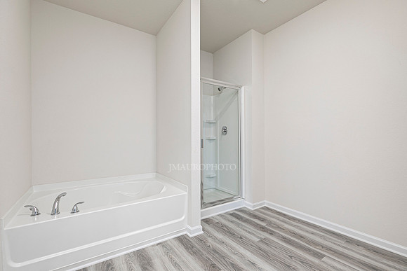 Master Bath-3