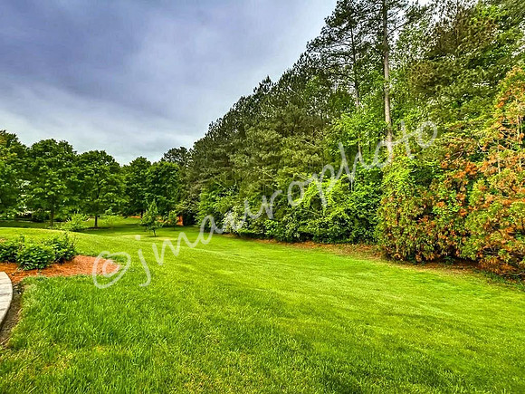 Back Yard B