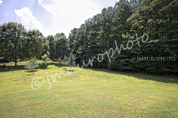 Back Yard A