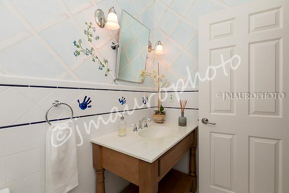 Powder Room Main Level