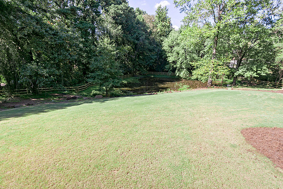 Back Yard-1
