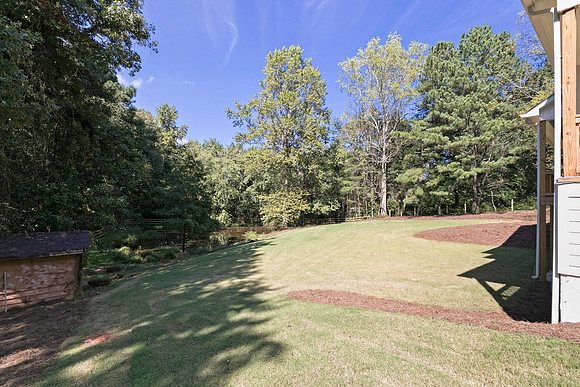 Back Yard-2