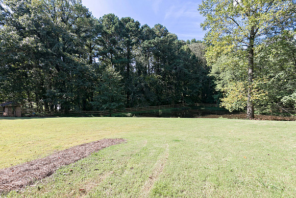 Back Yard-3