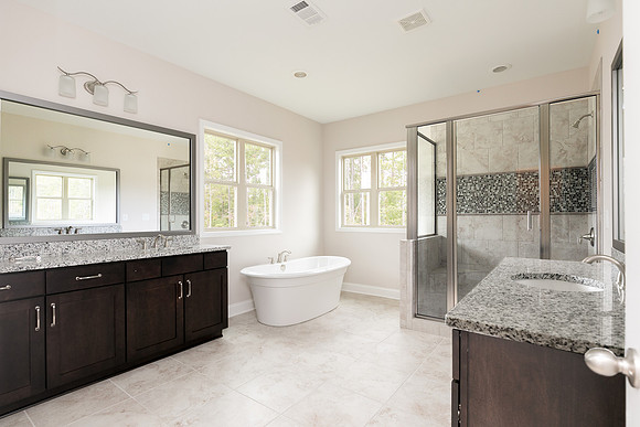 Owner's Bath-1