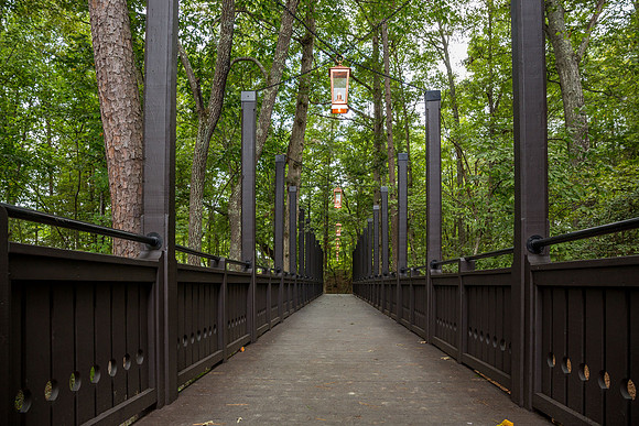 Serenbe Bridge-15