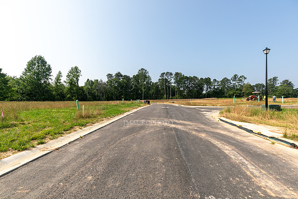 Carlton Crossing-16