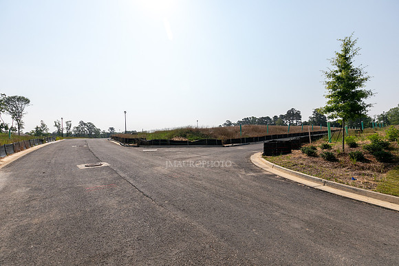 Carlton Crossing-3