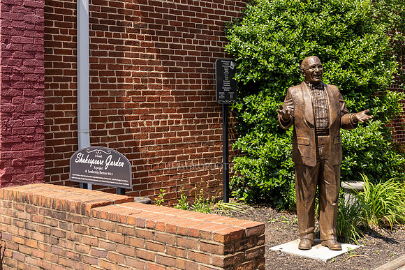 Cartersville-36
