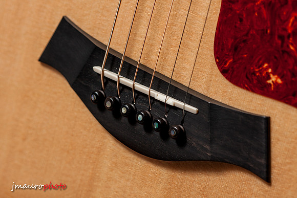 Taylor814ce_08
