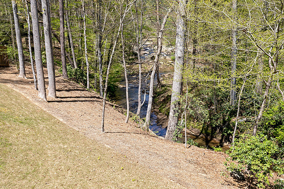 Back Yard-1