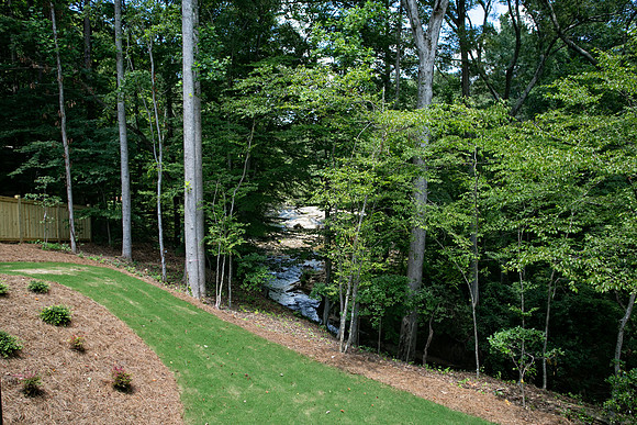 Back Yard-4