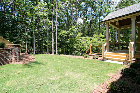Back Yard-2