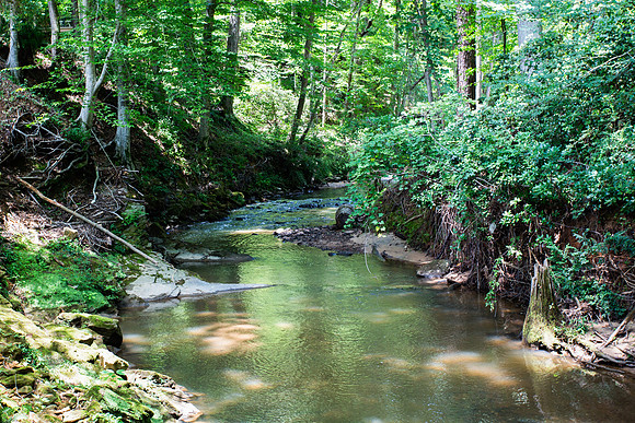 Sewel Mill Creek-1