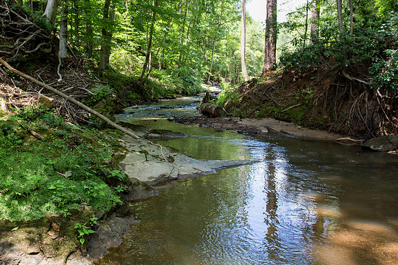Sewel Mill Creek-2