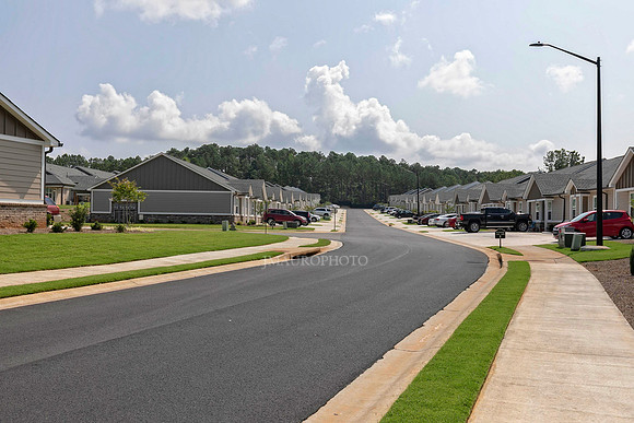 Streetscape-1