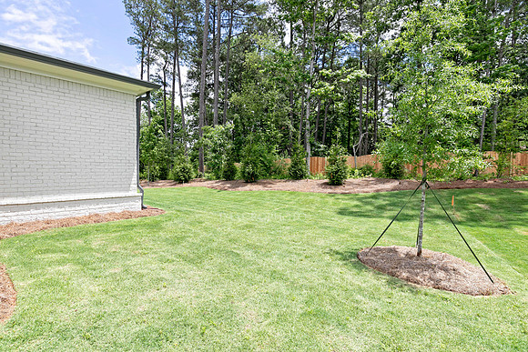Back Yard-1