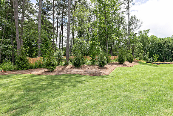 Back Yard-2