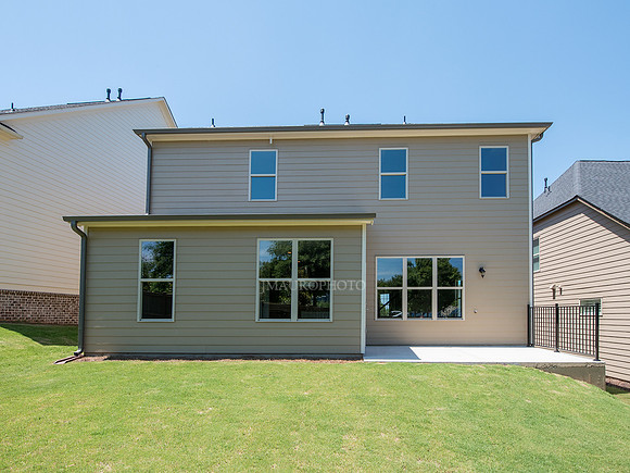 Back Yard-1