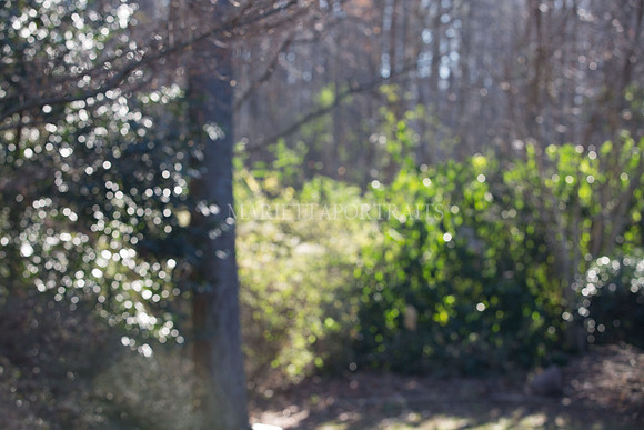 Landscape-1
