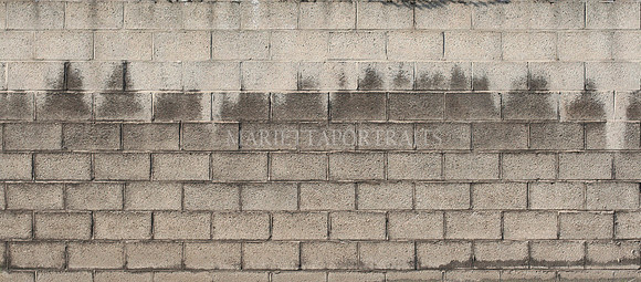 LargeBricks