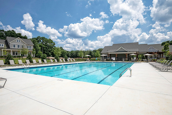 Swimming Pool-3