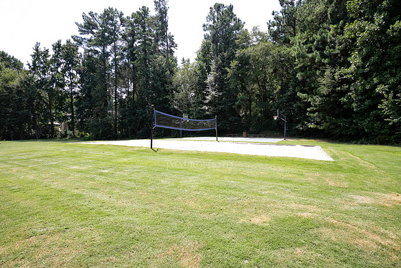 Volleyball and Basketball-1