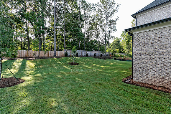 Back Yard-1