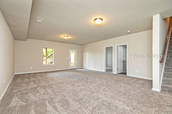 Finished Basement-1