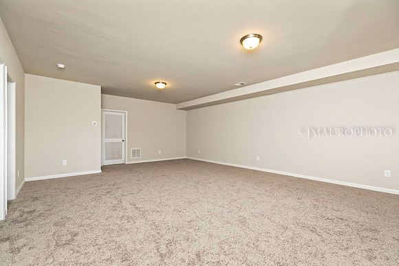 Finished Basement-2