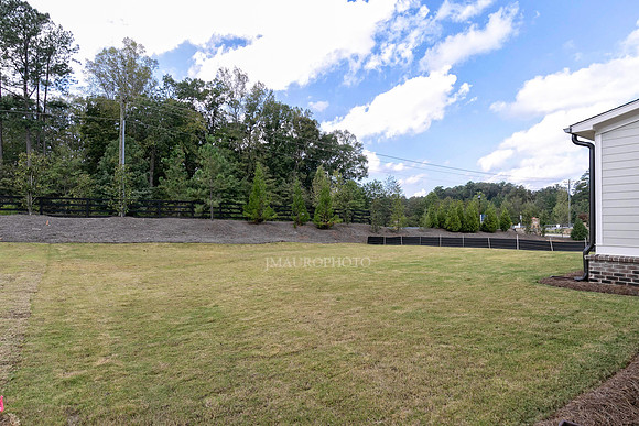 Back Yard-5