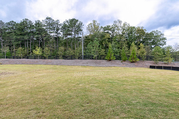 Back Yard-6