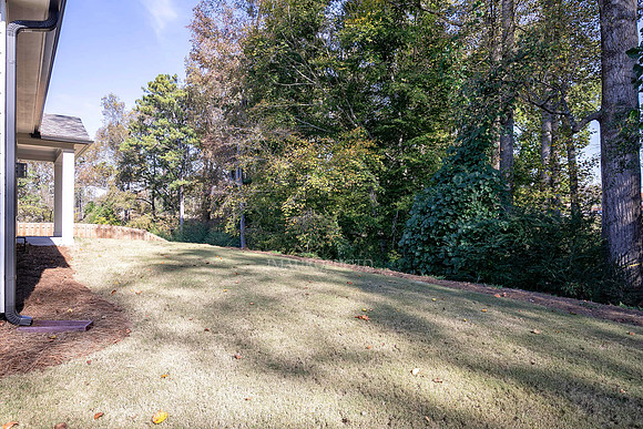 Back Yard-2