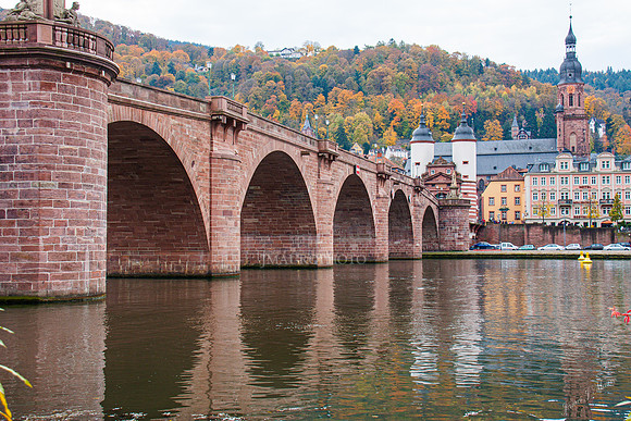 Heidelberg_24