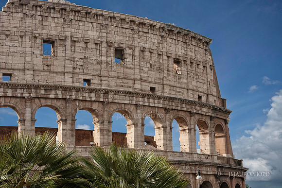 The Coliseum, Rome