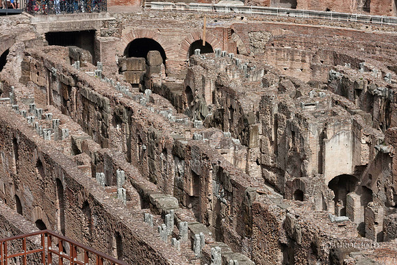The Coliseum, Rome