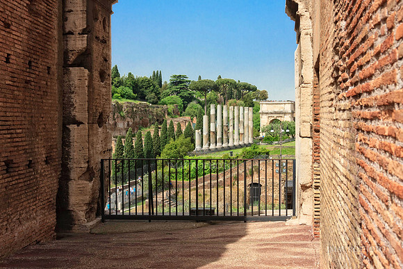 The Coliseum, Rome