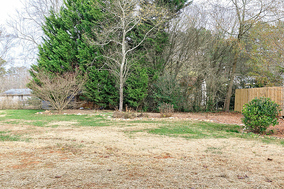 Back Yard-1