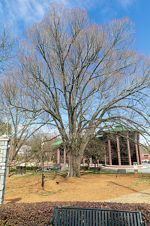 Norcross-56