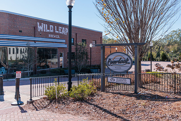 Wild Leap Brewing-4